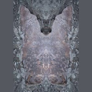 Fossile 1