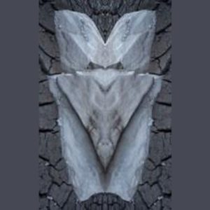 Fossile 2