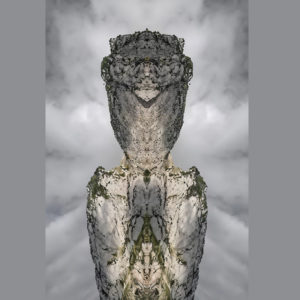 Totem 1