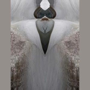 Un autre ange passe